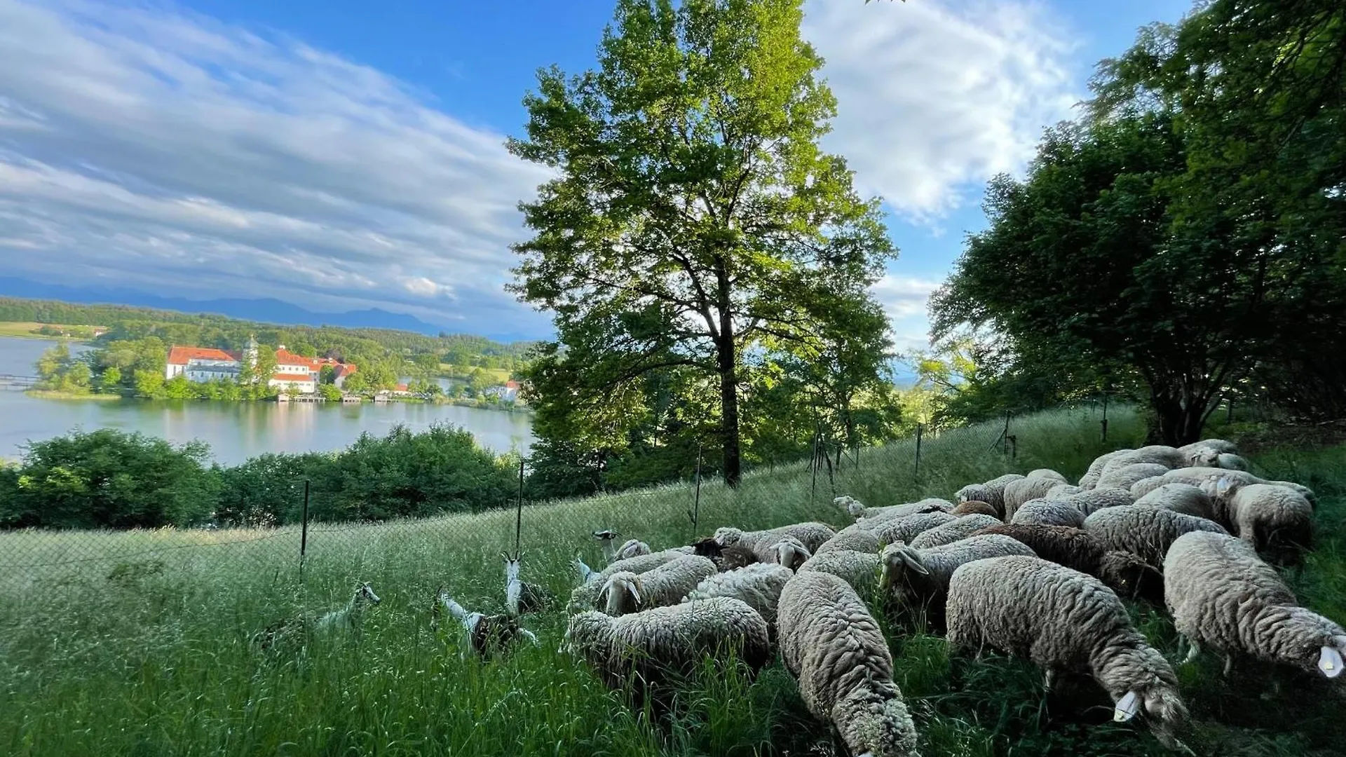 Seeblick Chiemgau, Haus Am Weinberg, 83370 Seeon Oberbayern Niemcy